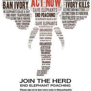 Meet your Posher, Laurie